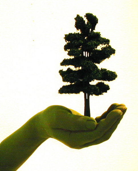 Hand mit Baum