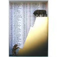 Bull and bear