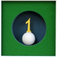 Hole in one